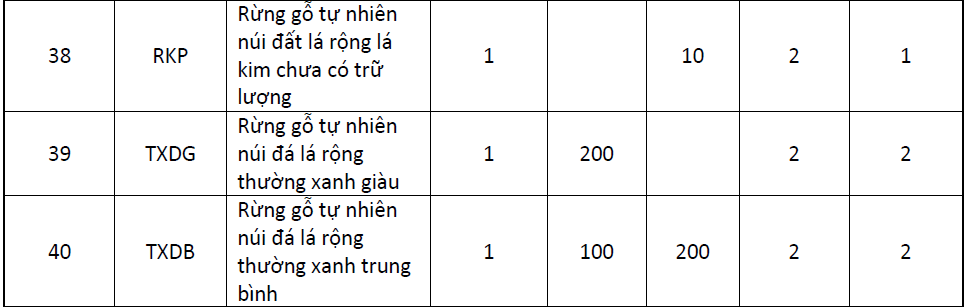 Lỗi tải ảnh