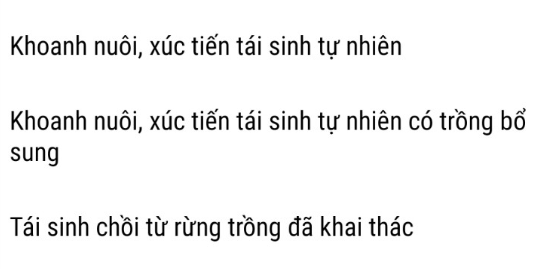 Lỗi tải ảnh