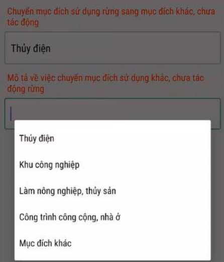 Lỗi tải ảnh